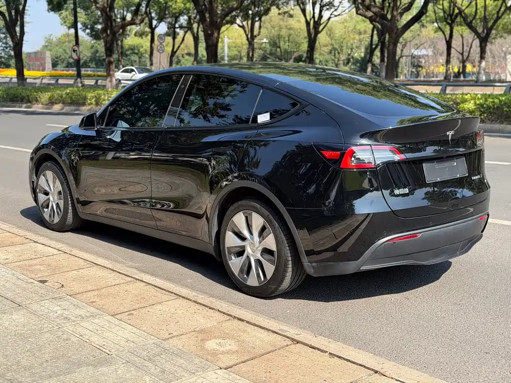 Tesla Model Y — миниатюра 5