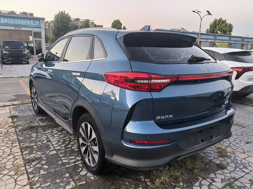 WM Motor EX5 — миниатюра 6