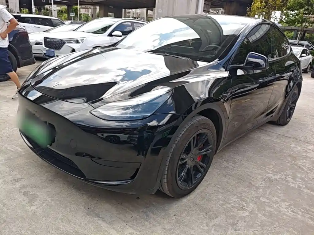 Tesla Model Y — миниатюра 2