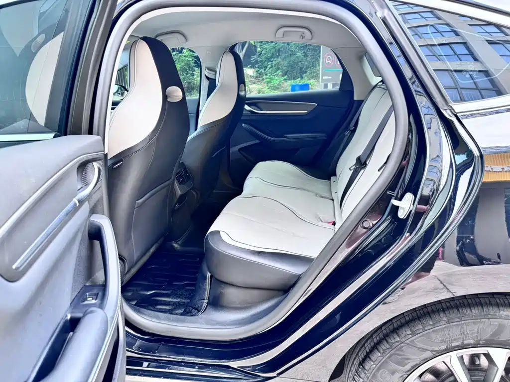 BYD Destroyer 05 2023 Champion DM-i 55KM Luxury
