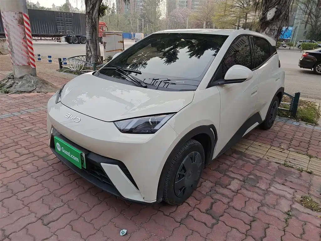 Byd Seagull 2025