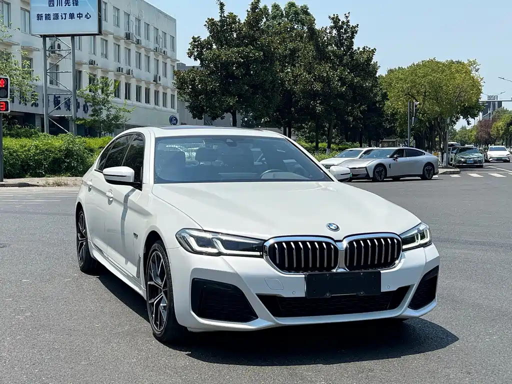 BMW 5 Series New Energy — миниатюра 3