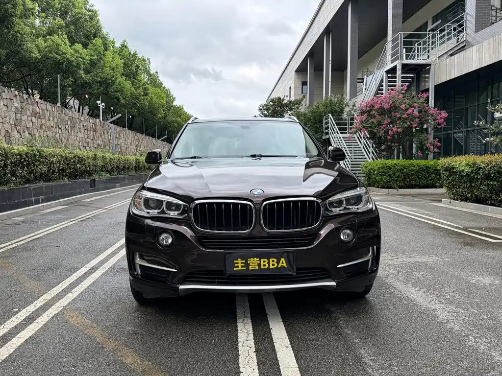 BMW X5 (Import) — миниатюра 2