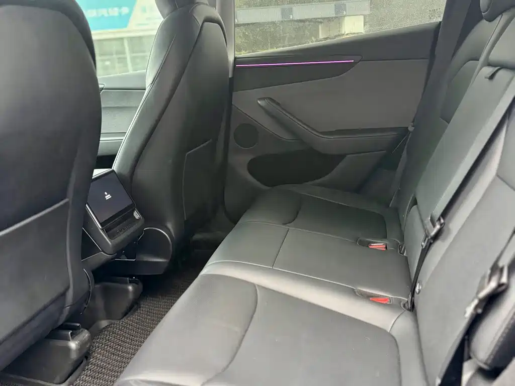 Tesla Model Y — миниатюра 11