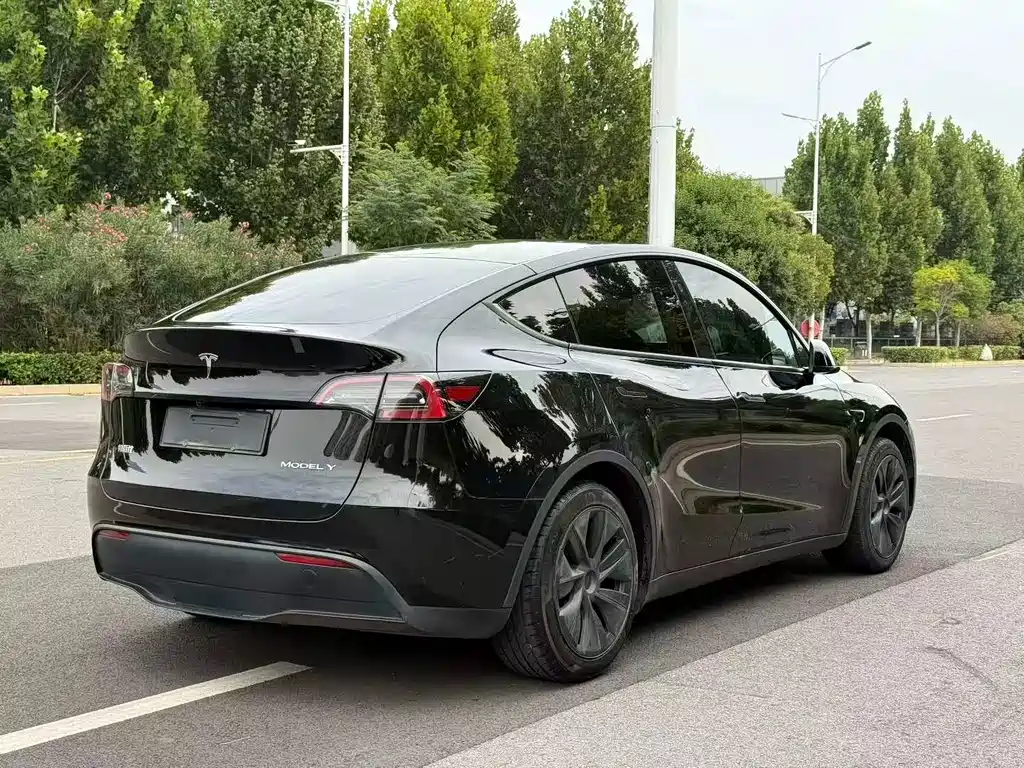 Tesla Model Y — миниатюра 7
