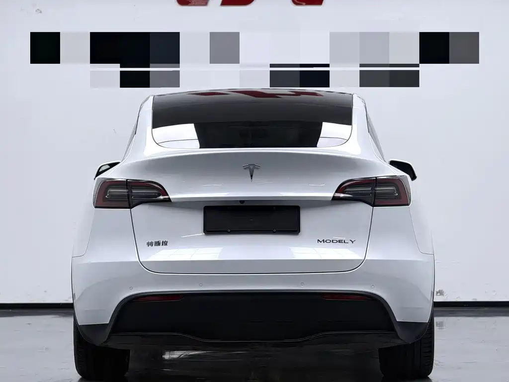 Tesla Model Y — миниатюра 7