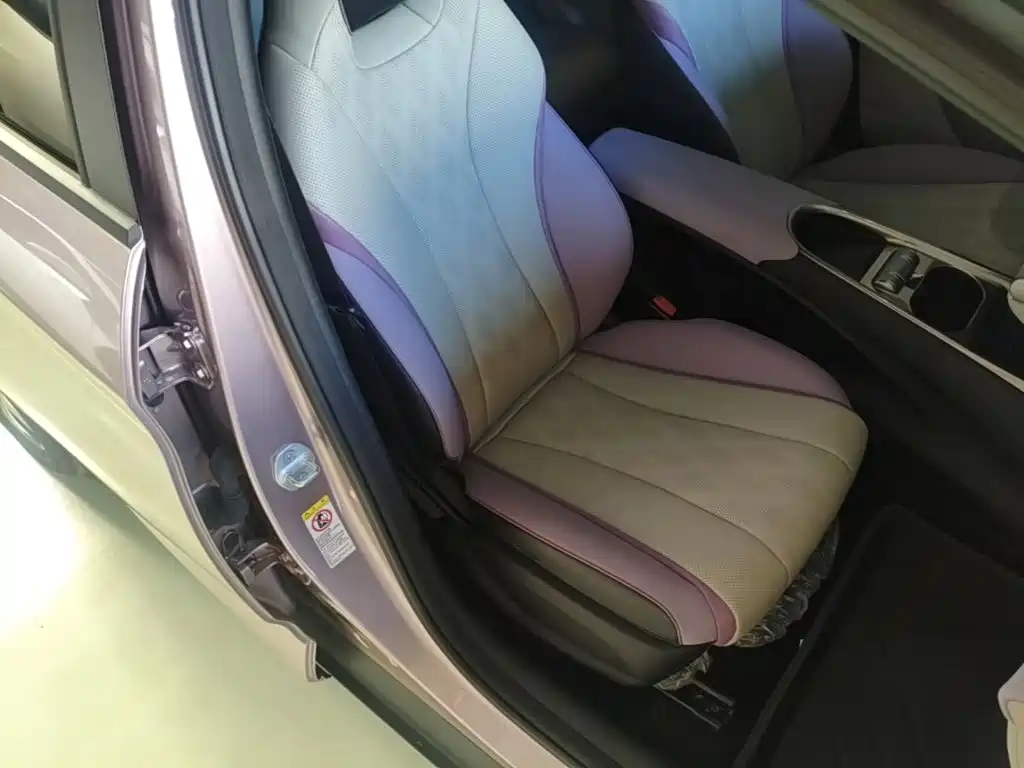 BYD Dolphin — миниатюра 25