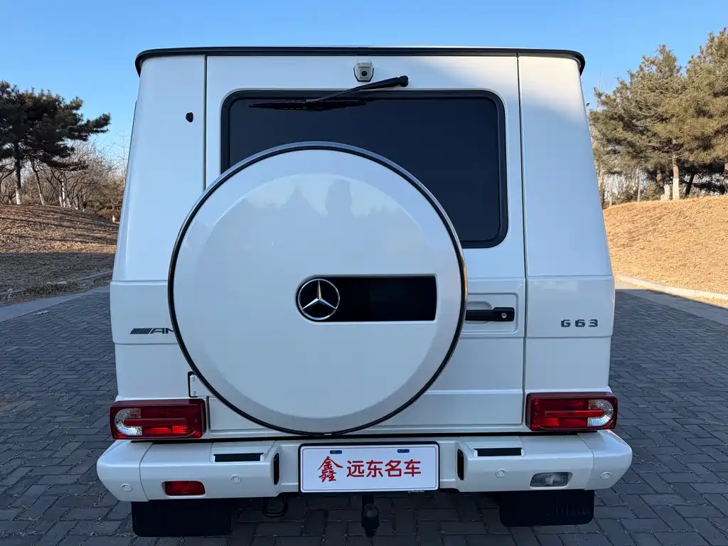 MERCEDES-BENZ G CLASS AMG