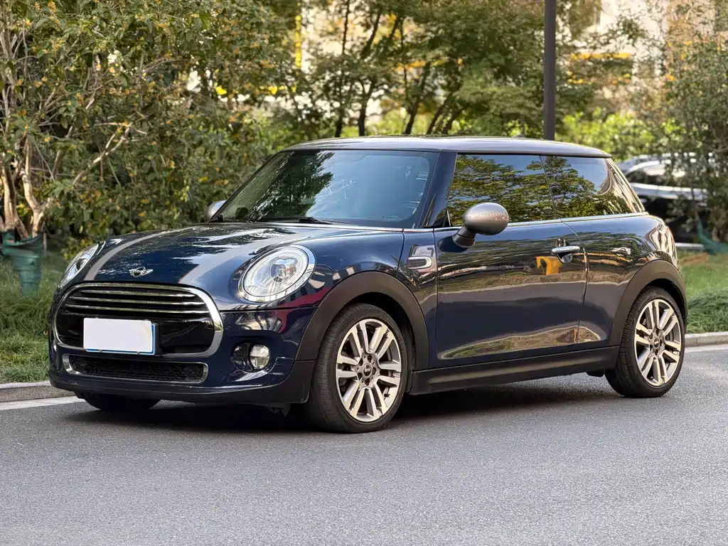Mini Mini 2018