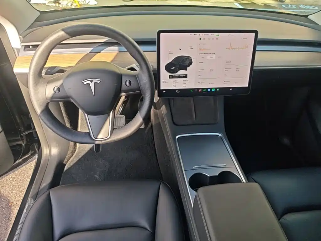 Tesla Model Y — миниатюра 10