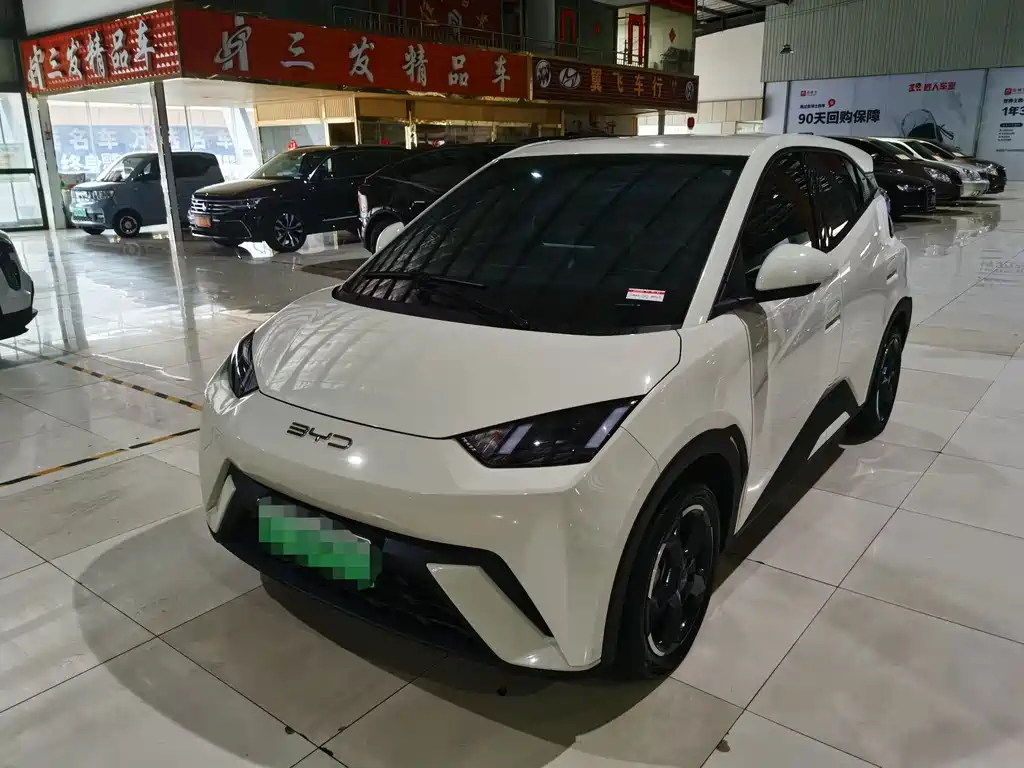 BYD Seagull