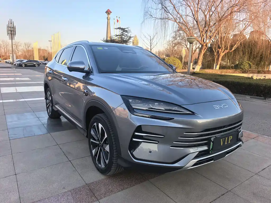 BYD SONGJIANG NEW ENERGY