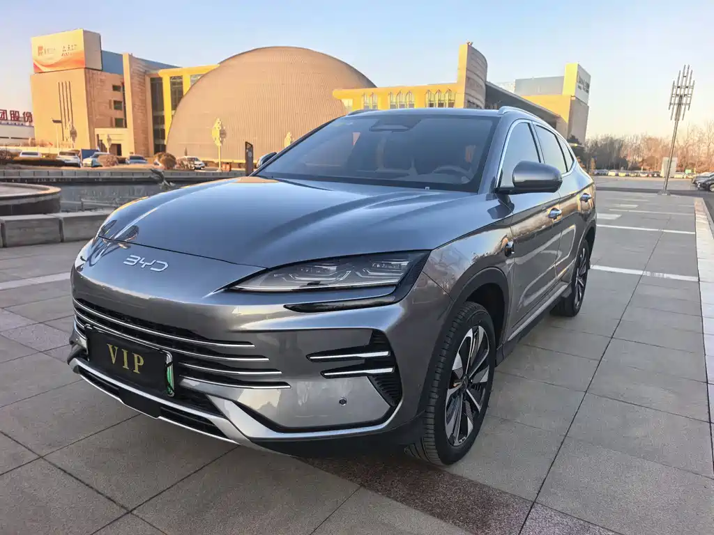 BYD SONGJIANG NEW ENERGY