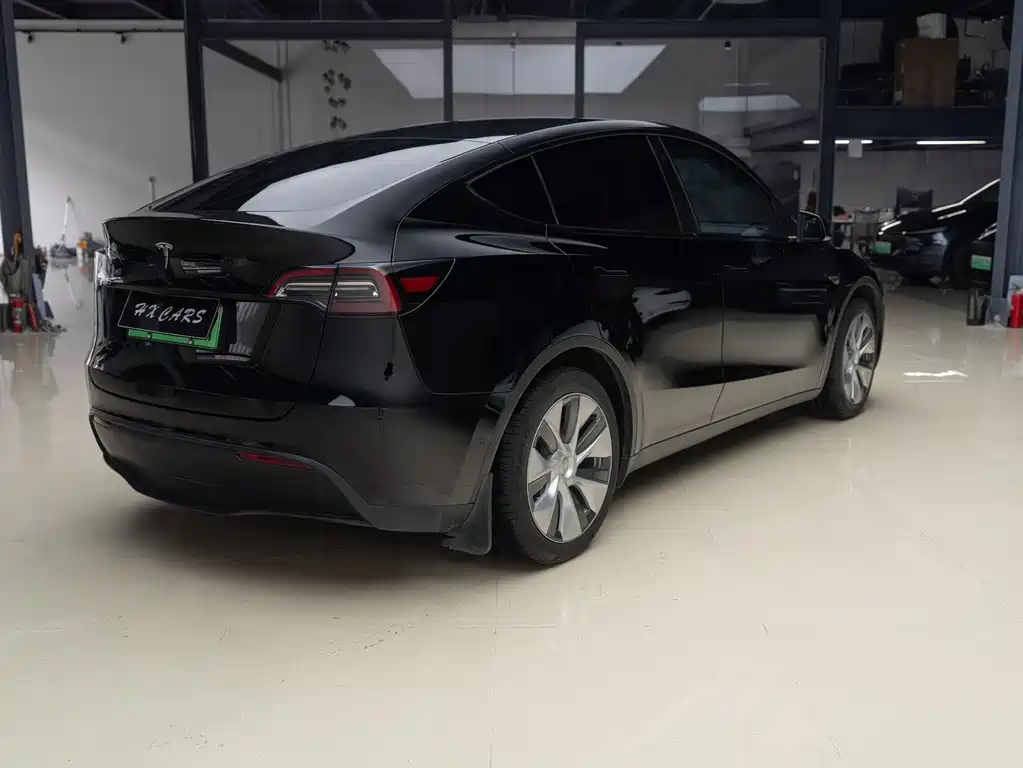 Tesla Model Y — миниатюра 5