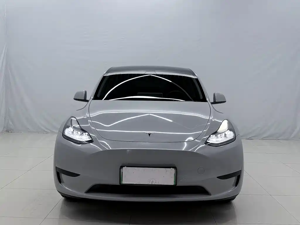Tesla Model Y — миниатюра 2