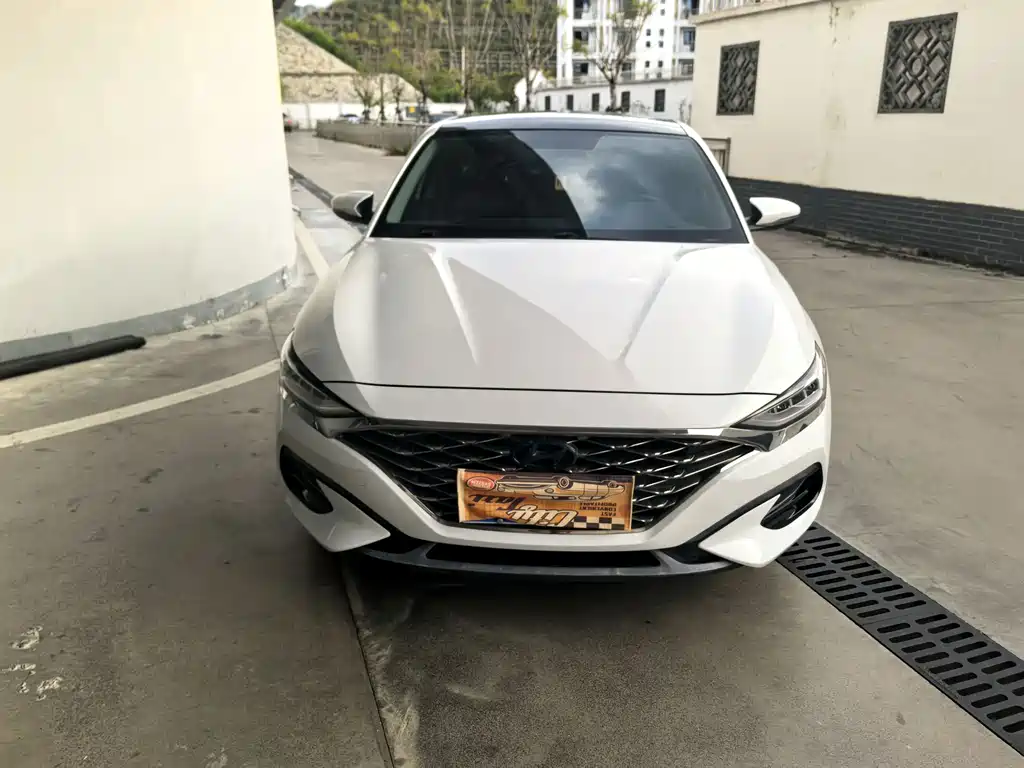 Hyundai Fista — миниатюра 2