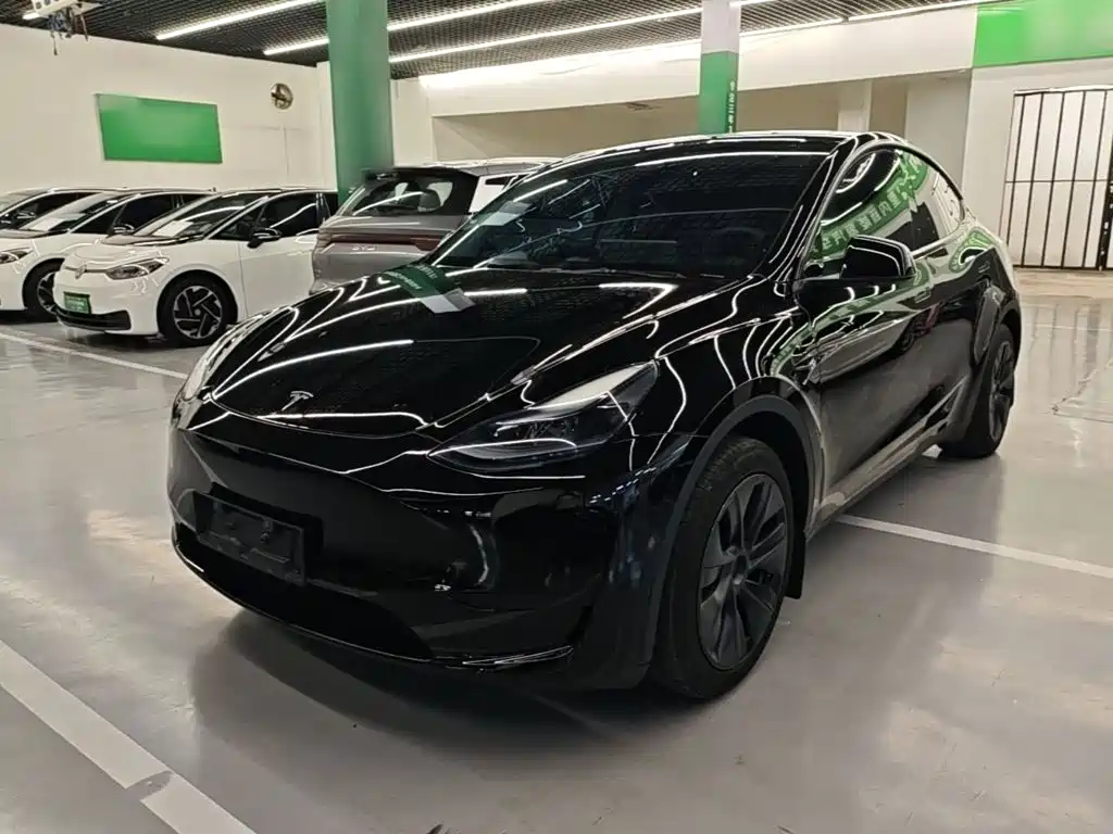 Tesla Model Y — миниатюра 2