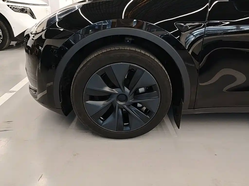 Tesla Model Y — миниатюра 23