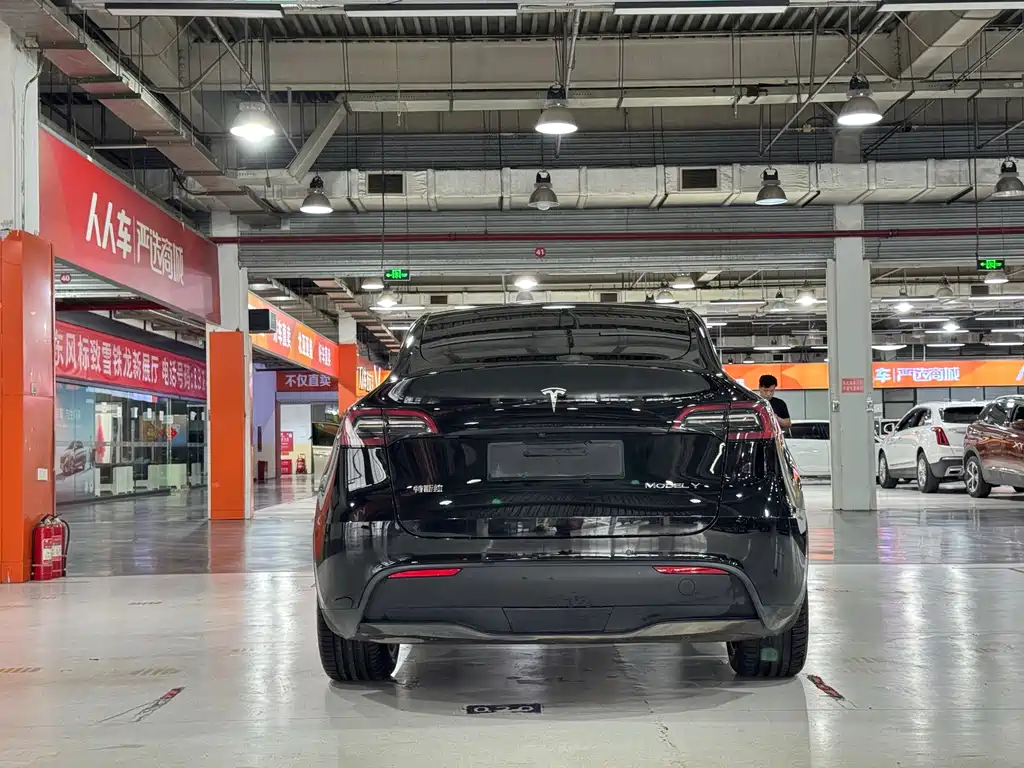 Tesla Model Y — миниатюра 4