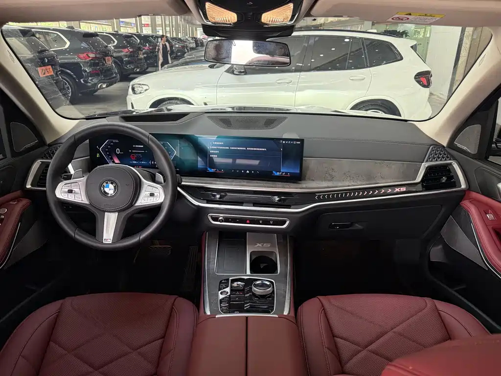 BMW X5 — миниатюра 8