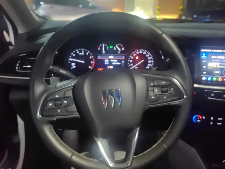 Buick Regal — миниатюра 15