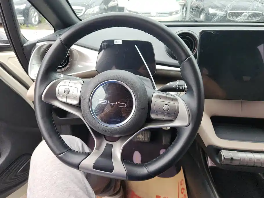 BYD Dolphin — миниатюра 15