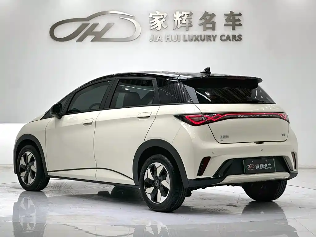 BYD Dolphin — миниатюра 5