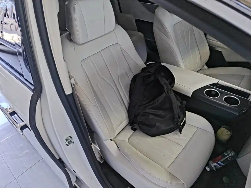 Buick GL8 Hybrid — миниатюра 25