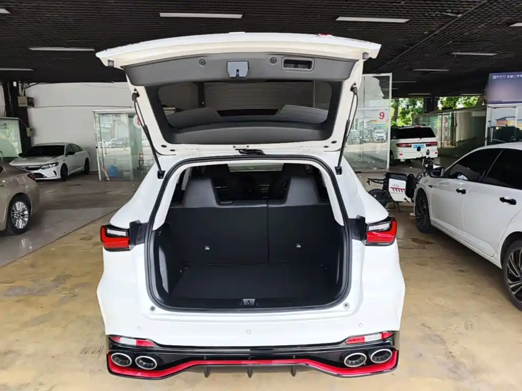 Oshan Oushang X5 — миниатюра 19