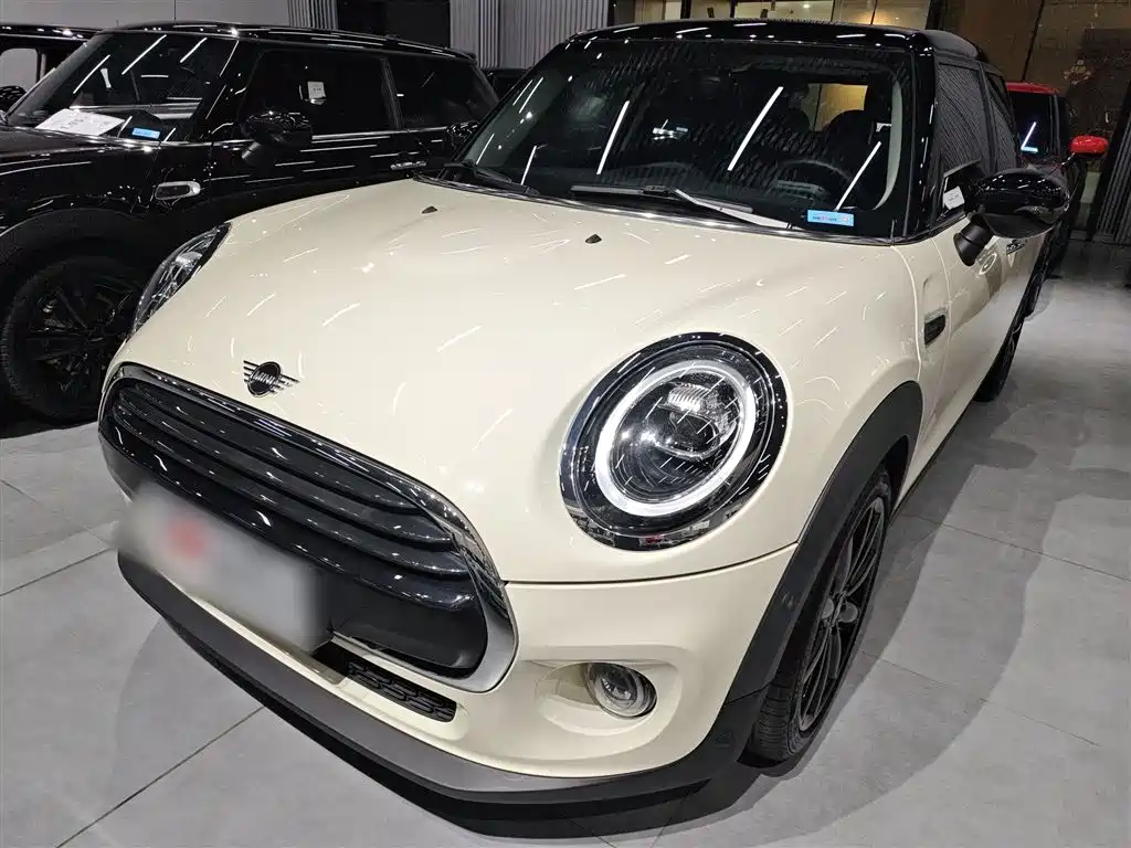 Mini Mini 2021