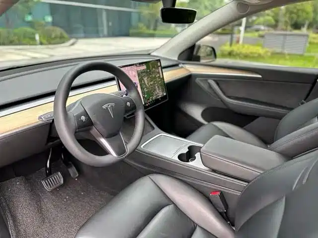 Tesla Model Y — миниатюра 6