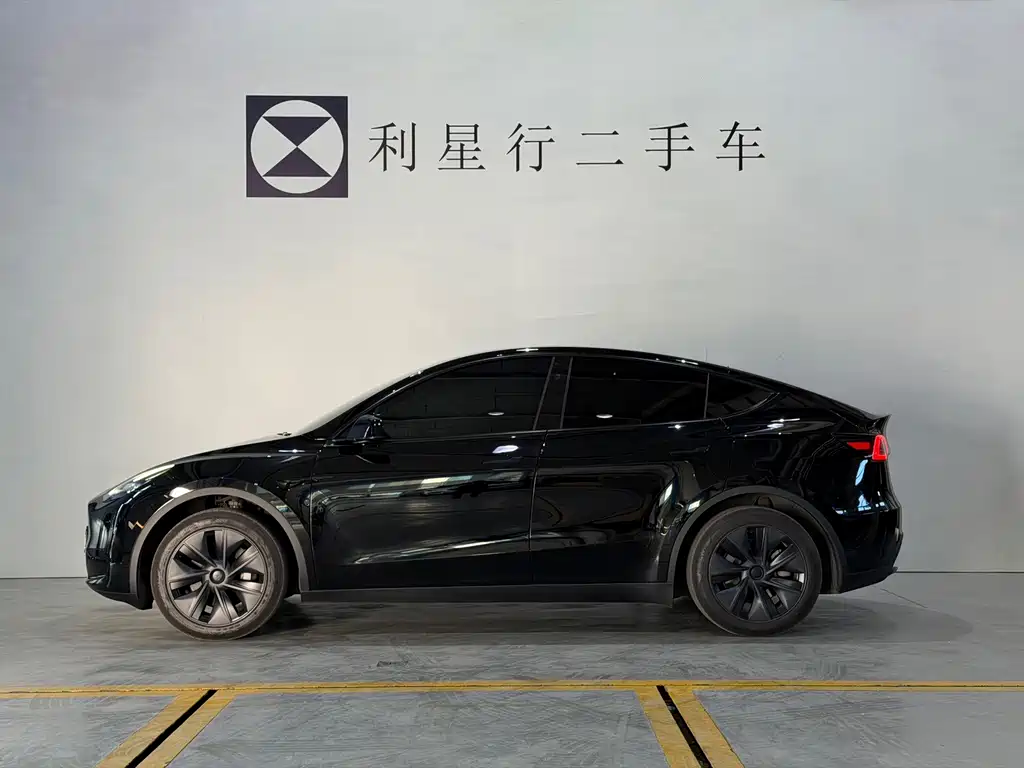 Tesla Model Y — миниатюра 2
