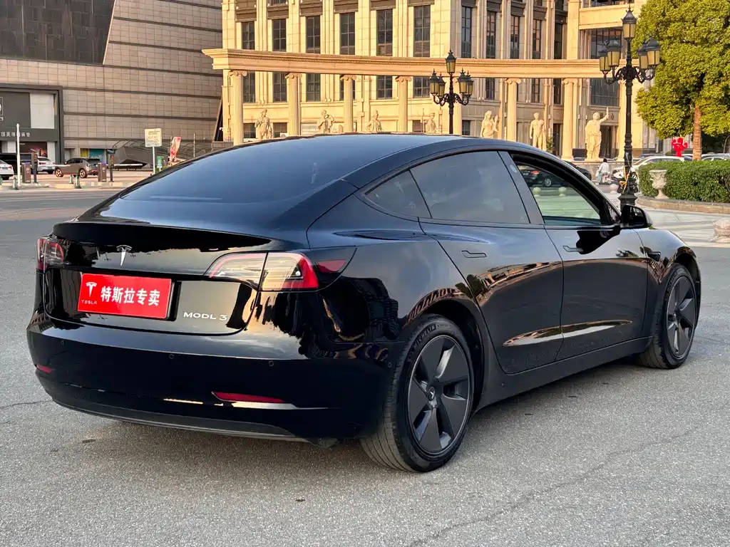 Tesla Model 3 — миниатюра 6