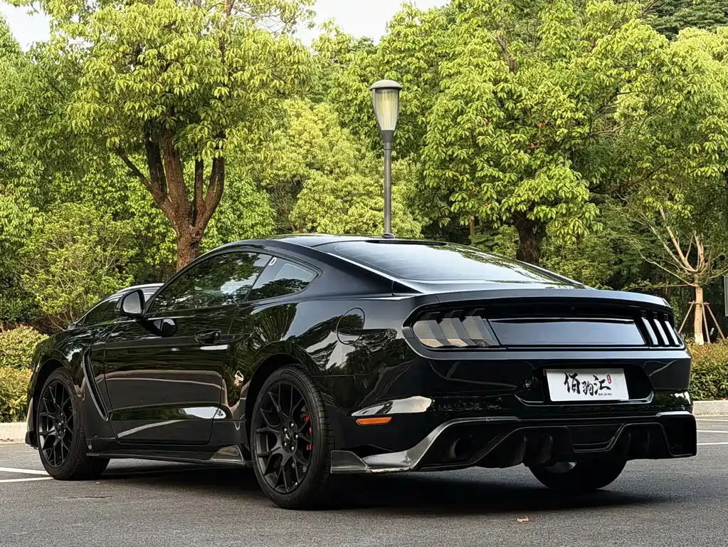 Ford Mustang — миниатюра 6