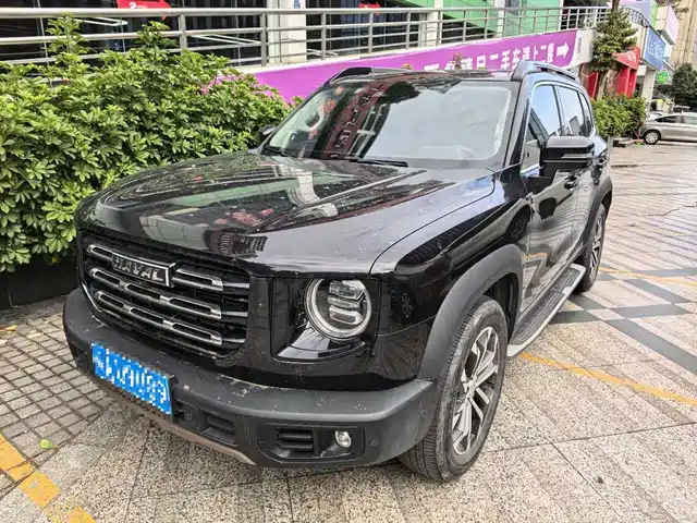 haval big-dog