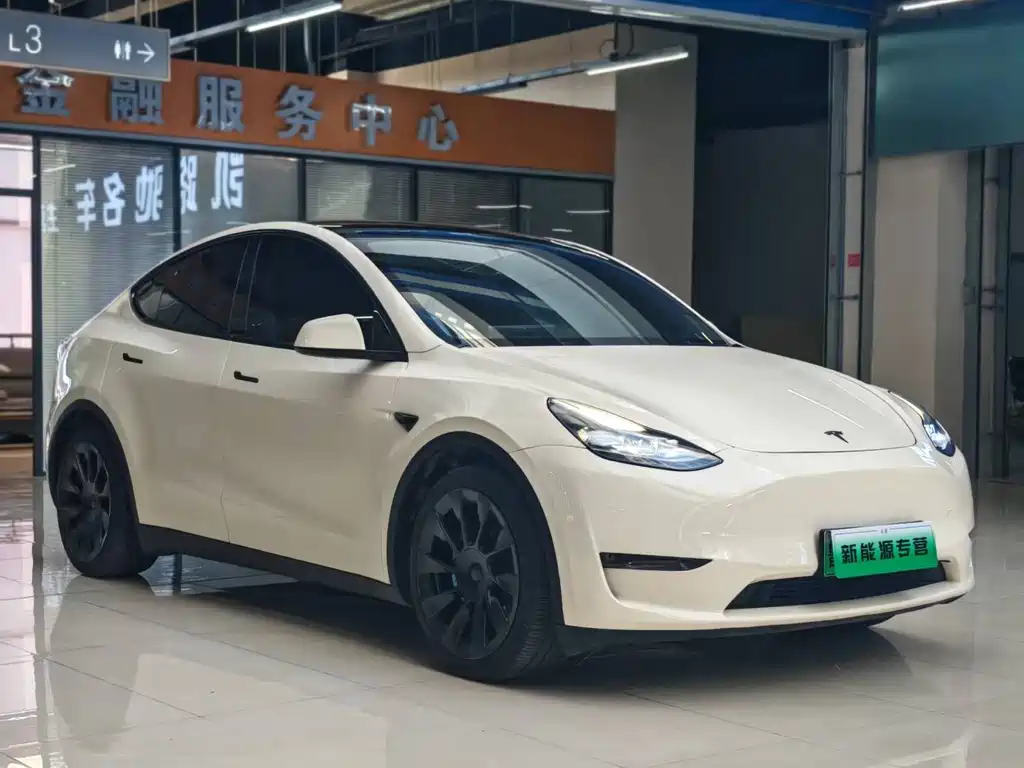 Tesla Model Y — миниатюра 2