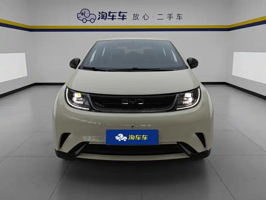 BYD Dolphin — миниатюра 2