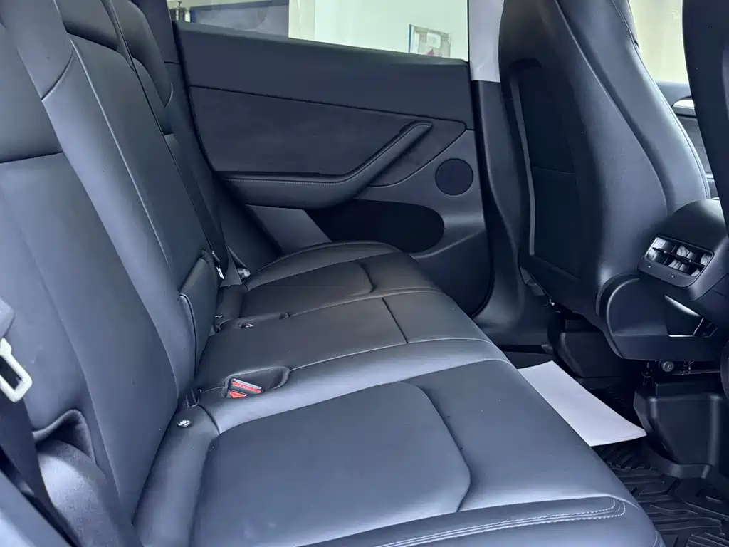 Tesla Model Y — миниатюра 14