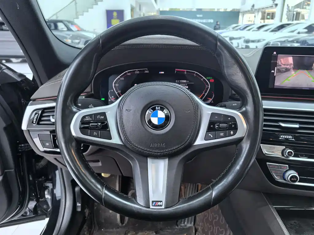 BMW 5 Series 5 2020 525Li M Sport