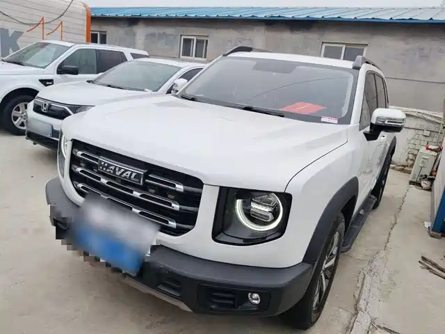 2020 Haval Big Dog