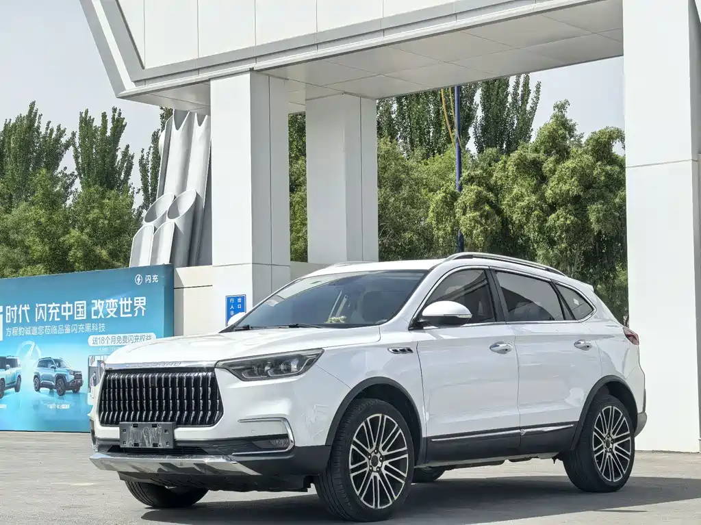 Leopaard Mattu 2019