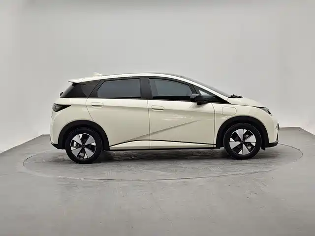 BYD Dolphin — миниатюра 4