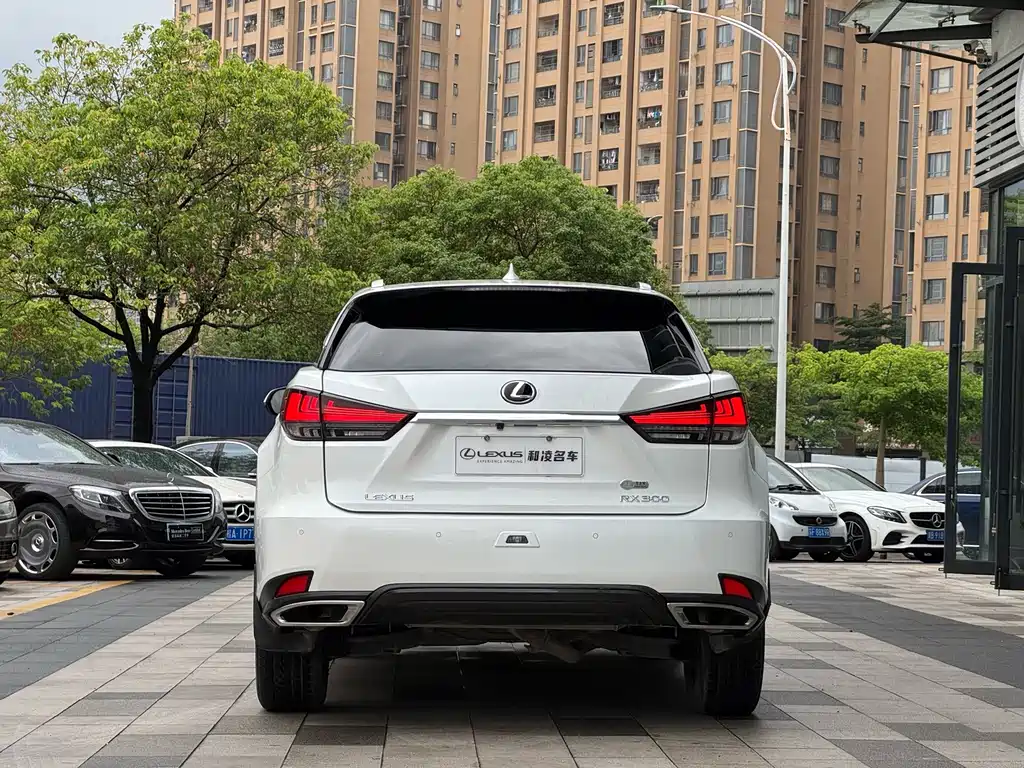 Lexus RX — миниатюра 5
