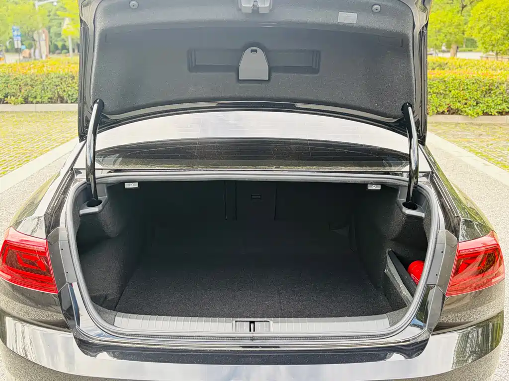Volkswagen Magotan 2023 200 330TSI DSG Lead