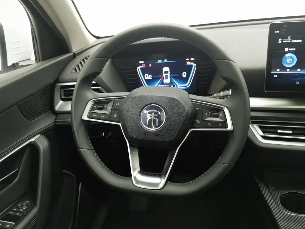 BYD Pro — миниатюра 11