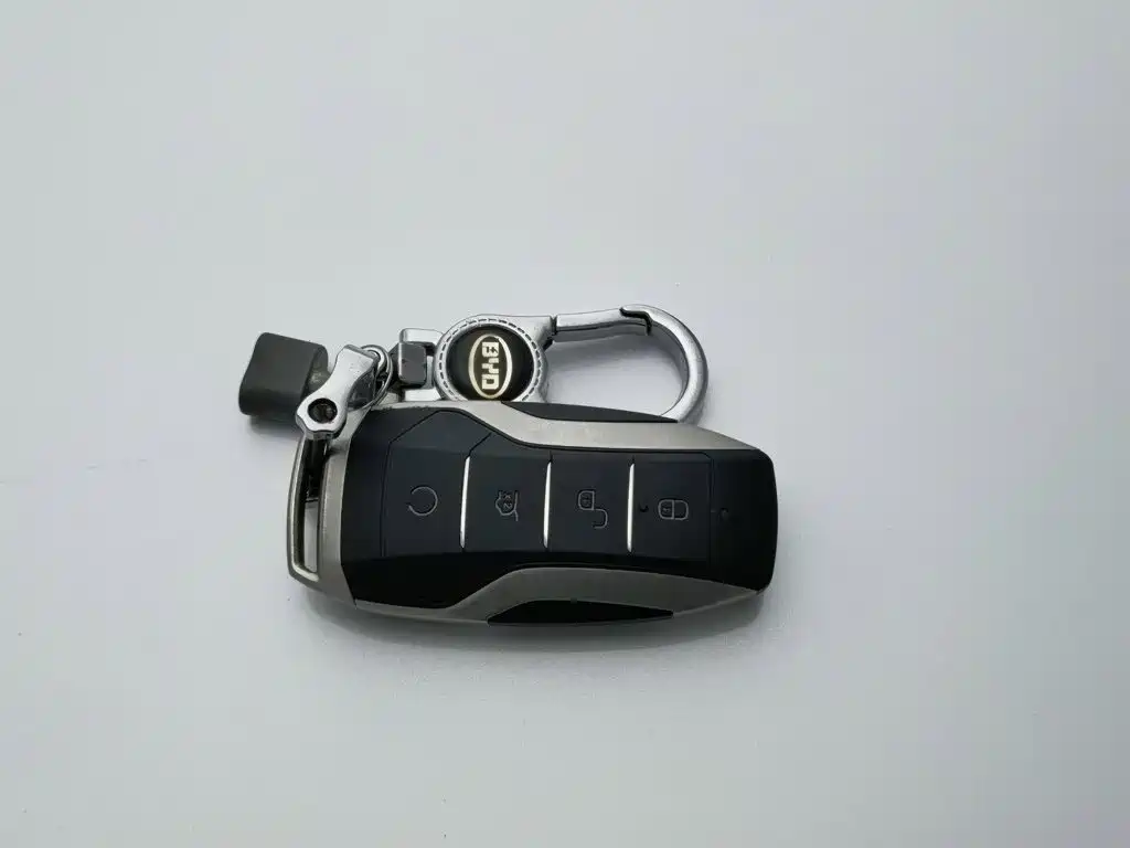 BYD Pro — миниатюра 19