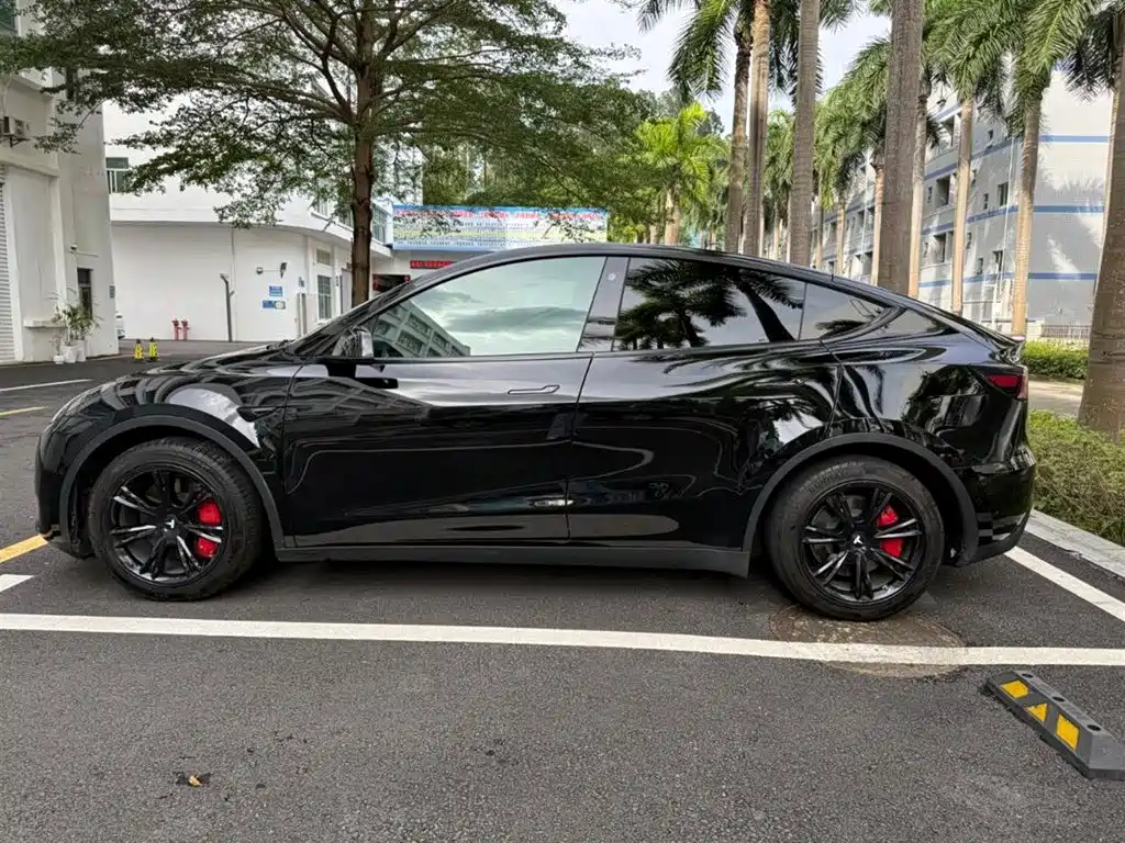 Tesla Model Y — миниатюра 9