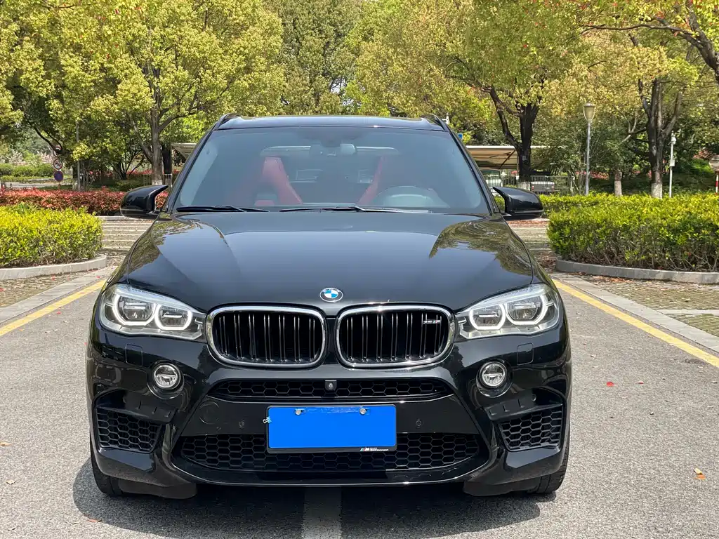 BMW X5 M 2013 X5 M