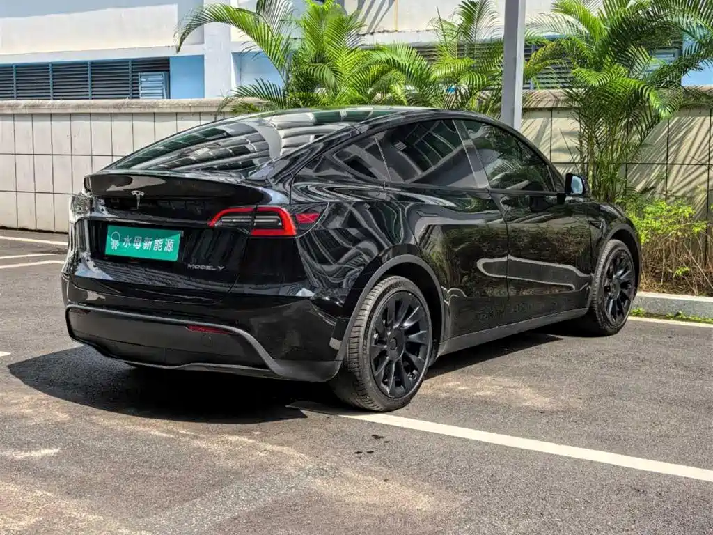 Tesla Model Y — миниатюра 13