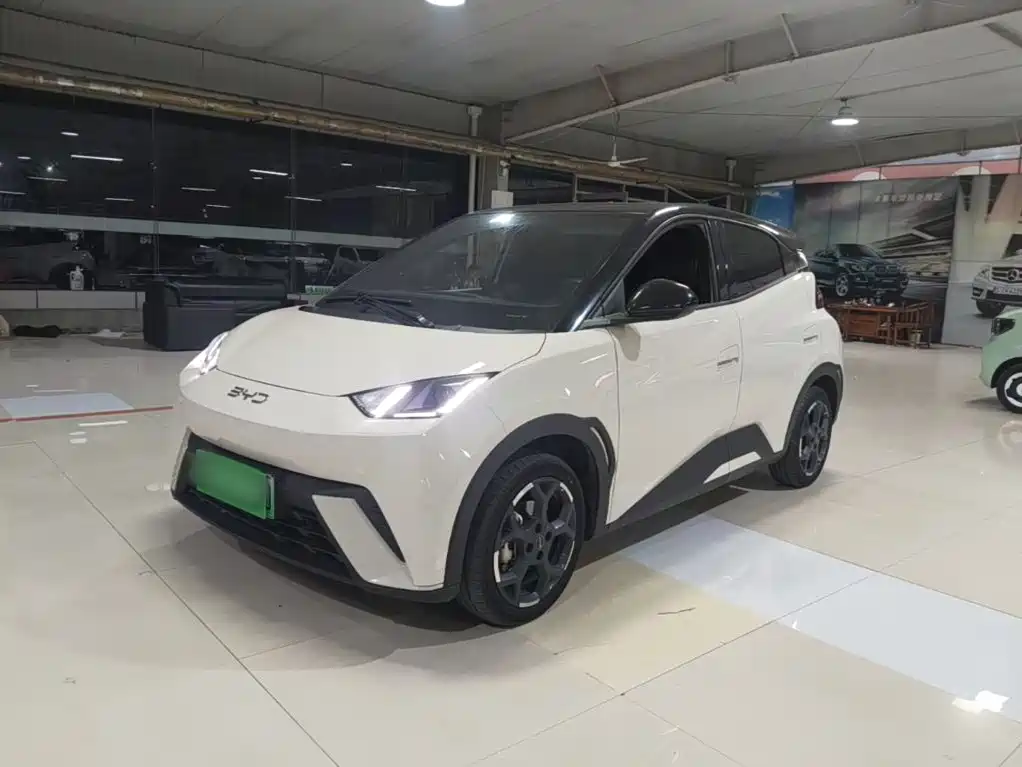 BYD Seagull